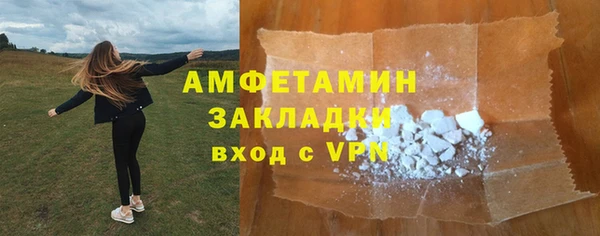 сатива Новозыбков