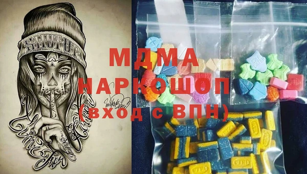 сатива Новозыбков
