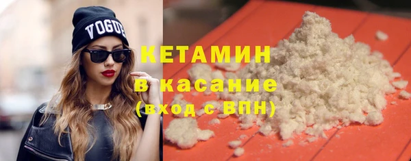 сатива Новозыбков