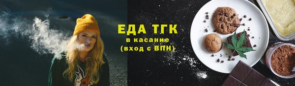 сатива Новозыбков