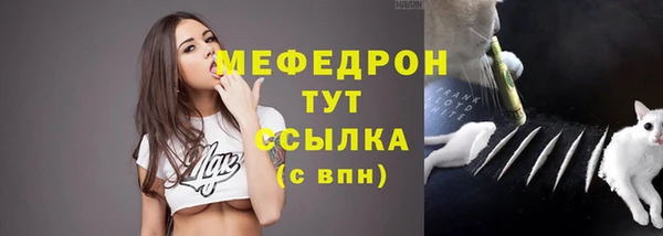 сатива Новозыбков