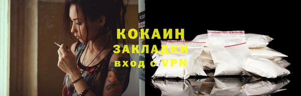 сатива Новозыбков
