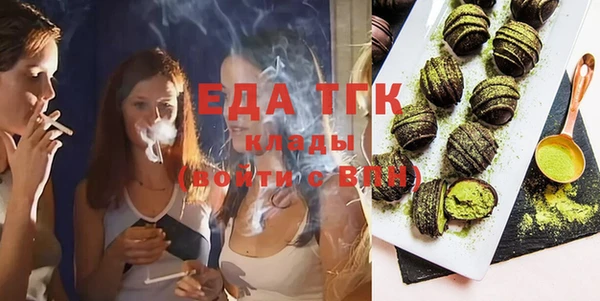 сатива Новозыбков