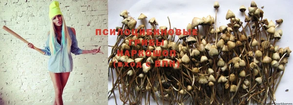 кокаин Новокубанск