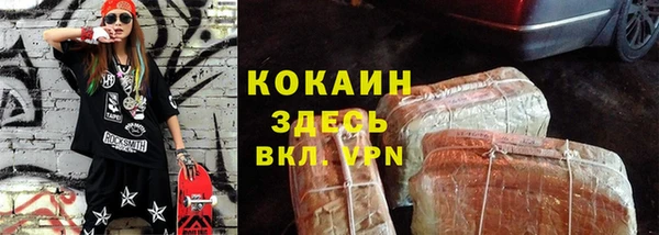 сатива Новозыбков