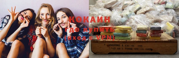 сатива Новозыбков