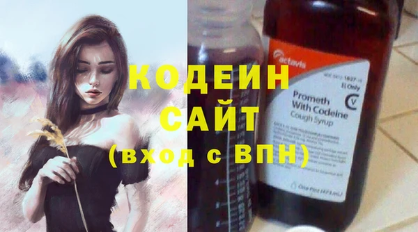 сатива Новозыбков